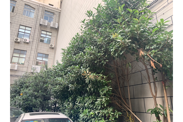 怡灃大廈 怡灃大廈