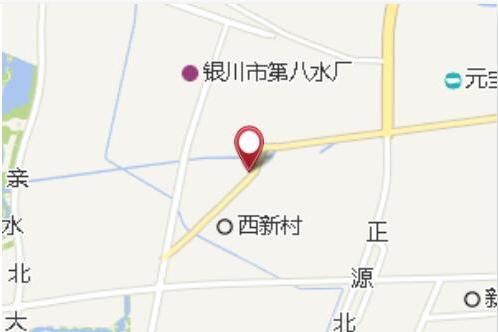 新聯八隊 新聯八隊