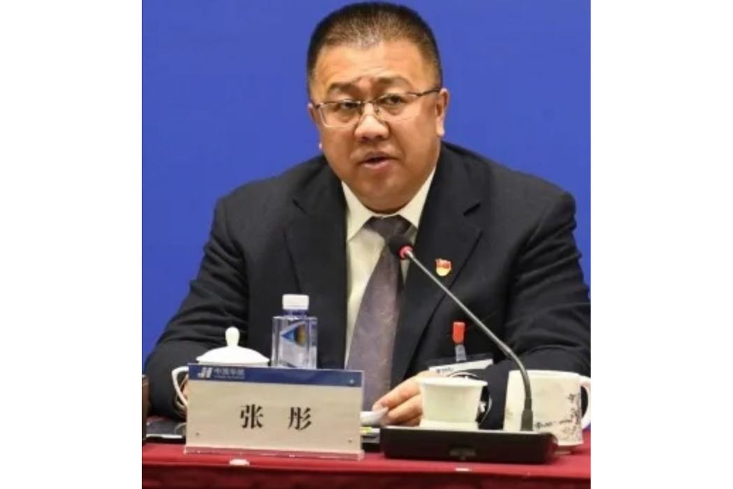 張彤(新能泰山董事) 張彤(新能泰山董事)