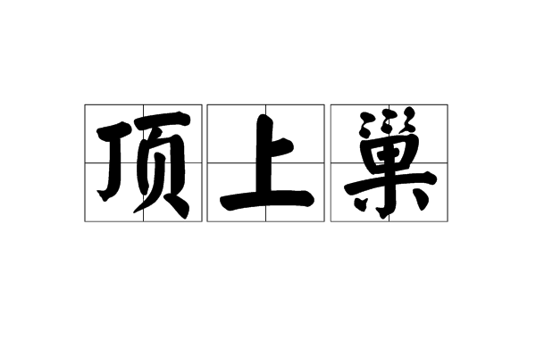 頂上巢 頂上巢