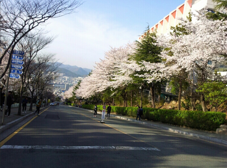 韓國東義大學