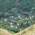 乾塘村(雲南省保山市隆陽區瓦房鄉乾塘村) 乾塘村(雲南省保山市隆陽區瓦房鄉乾塘村)