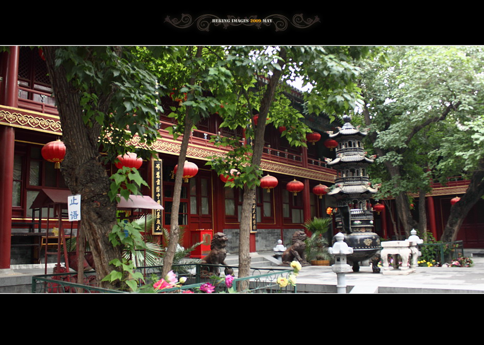 北京佛教文化研究所藏經樓