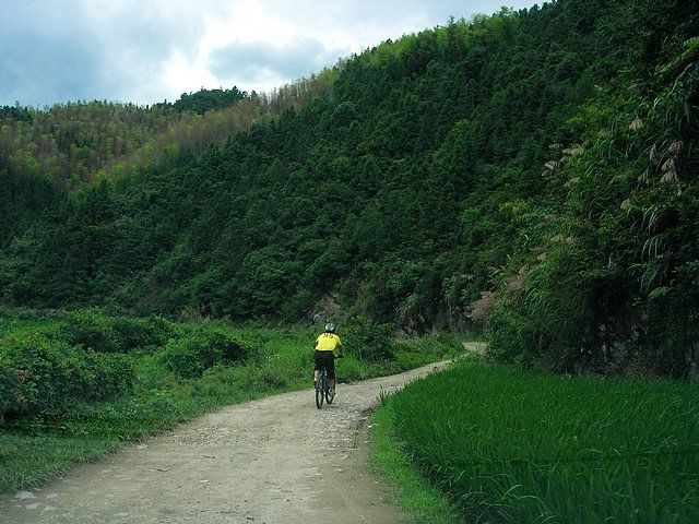 芳口村 芳口村