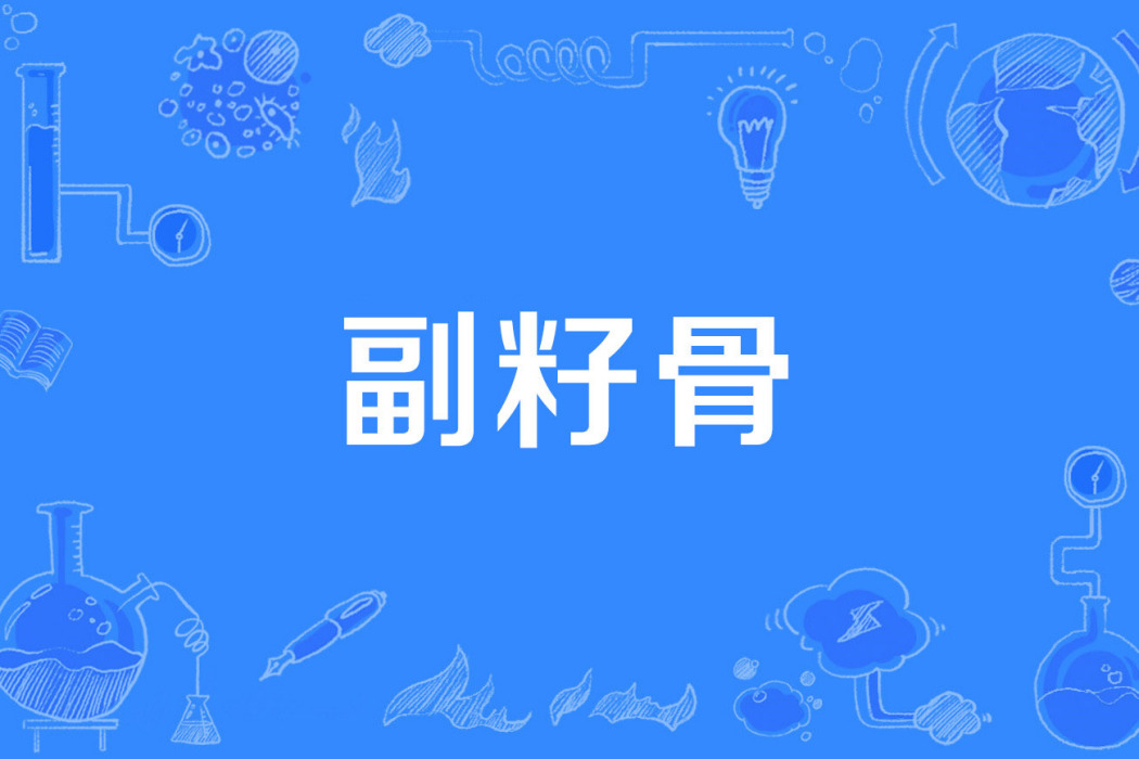 副籽骨