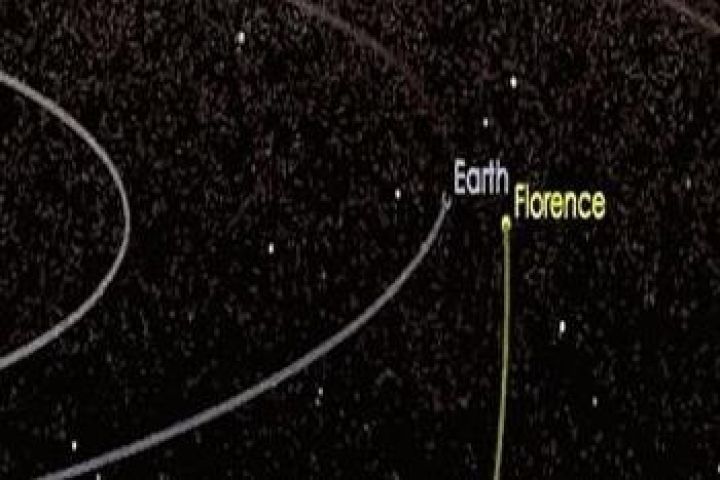 建三江星 建三江星