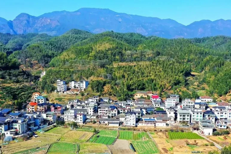 小忠村 小忠村