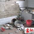 4.25宜賓地震 4.25宜賓地震