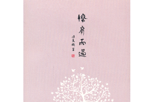 擦肩而過(2013年長江文藝出版社出版的圖書) 擦肩而過(2013年長江文藝出版社出版的圖書)