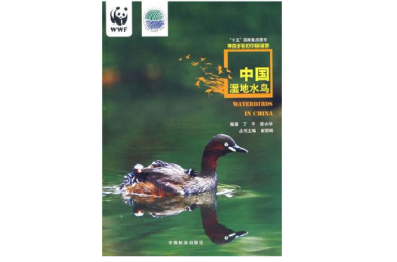 中國濕地水鳥