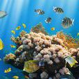 生物資源(資源術語) 生物資源(資源術語)