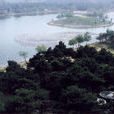 西平森林公園