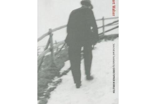speaking to the rose: writings, 1912-1932 speaking to the rose: writings, 1912-1932