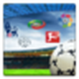 Top Soccer Leagues Live Score