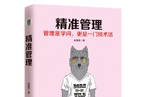精準管理(2017年廣東旅遊出版社出版的圖書) 精準管理(2017年廣東旅遊出版社出版的圖書)
