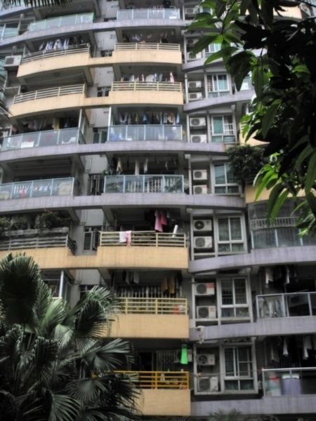 江南駿園 江南駿園