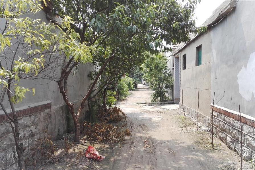 李樓村(山東省菏澤市巨野縣營里鎮下轄村) 李樓村(山東省菏澤市巨野縣營里鎮下轄村)
