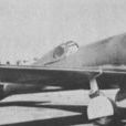 CW-21戰鬥機 CW-21戰鬥機