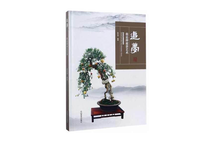 追夢(2017年中國林業出版社出版的圖書) 追夢(2017年中國林業出版社出版的圖書)