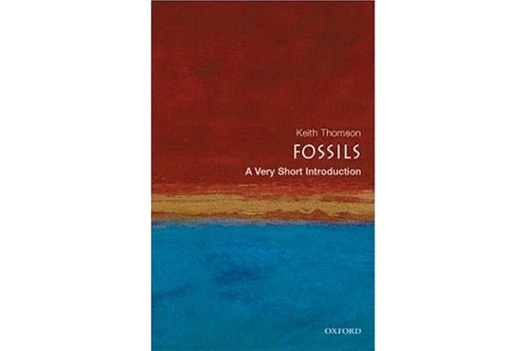Fossils Fossils