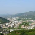 大坪鄉(福建省安溪縣大坪鄉)