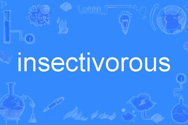 insectivorous insectivorous