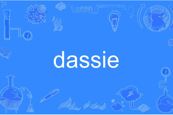 dassie dassie
