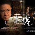 霧裡看花(2009年李幼斌主演電視劇)