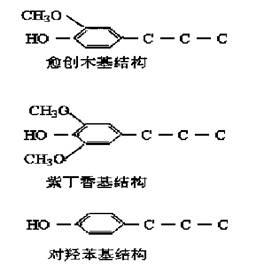 木質素單體的分子結構