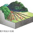 沖積扇 沖積扇