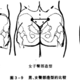 屁股(解剖學概念)
