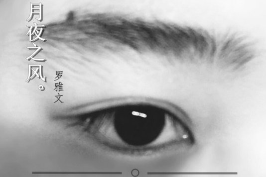 月夜之風 月夜之風
