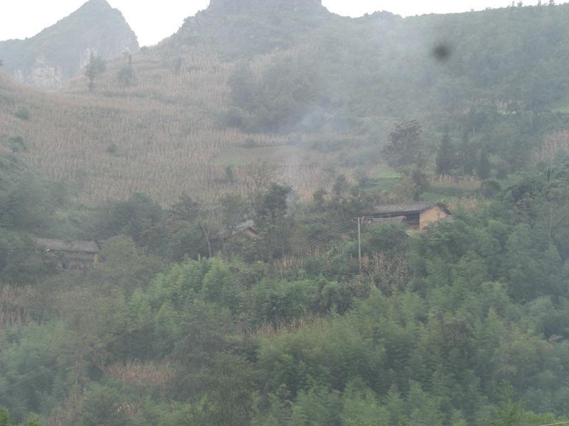 下者梅村 下者梅村