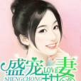 盛寵甜妻(冷冷偶吧著網路小說) 盛寵甜妻(冷冷偶吧著網路小說)
