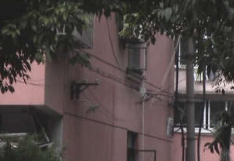 虹園八村