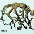 刺海蛇尾 刺海蛇尾