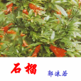 地石榴花(中藥材) 地石榴花(中藥材)