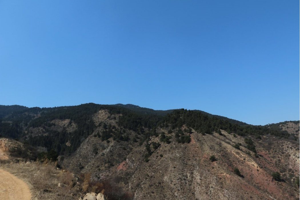 伏牛山(山西省沁縣太岳山脈中段山脈) 伏牛山(山西省沁縣太岳山脈中段山脈)