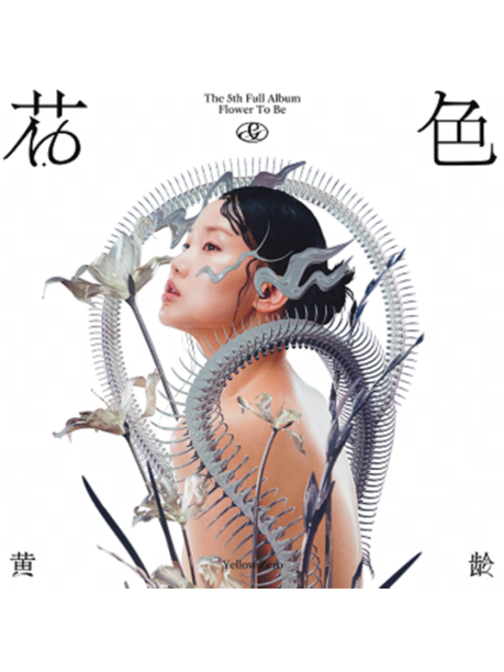 芯世紀 芯世紀