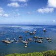 石島漁場 石島漁場
