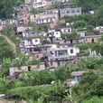 三隊村(雲南省金平縣老集寨鄉下轄村) 三隊村(雲南省金平縣老集寨鄉下轄村)