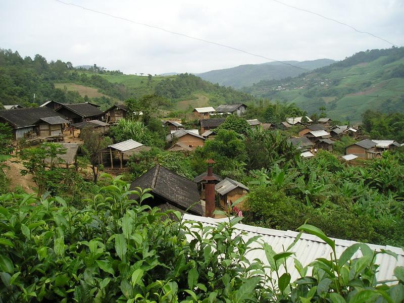 老坪寨村 老坪寨村