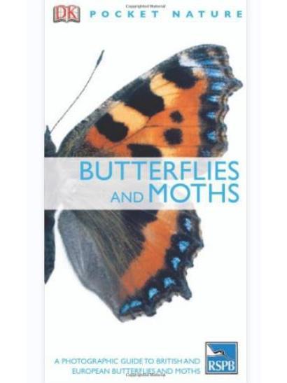 Butterflies and Moths Butterflies and Moths