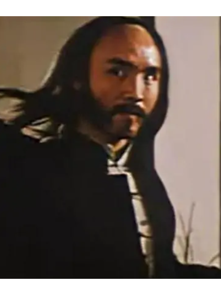 遊俠(1985年華山執導的電影《少林俗家弟子》中的角色) 遊俠(1985年華山執導的電影《少林俗家弟子》中的角色)