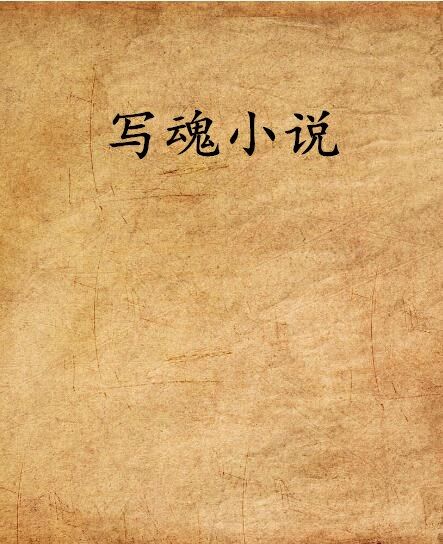 寫魂小說 寫魂小說
