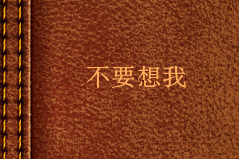 不要想我(網路小說) 不要想我(網路小說)