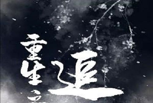 重生之追影 重生之追影