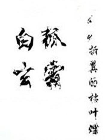 白狐玄霜