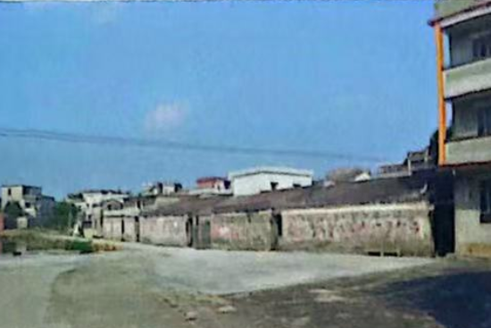 大樓村(廣東省江門市開平市赤坎鎮護龍行政村下轄自然村)