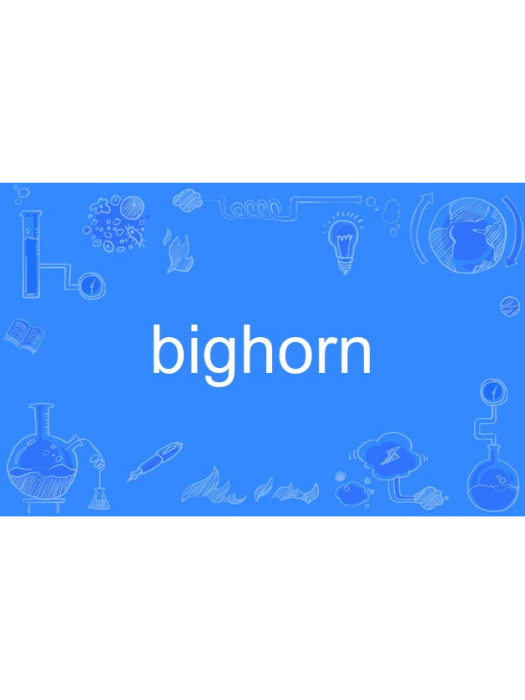 bighorn